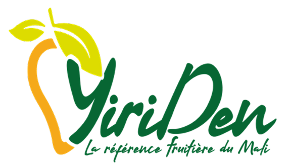logo-yiriden
